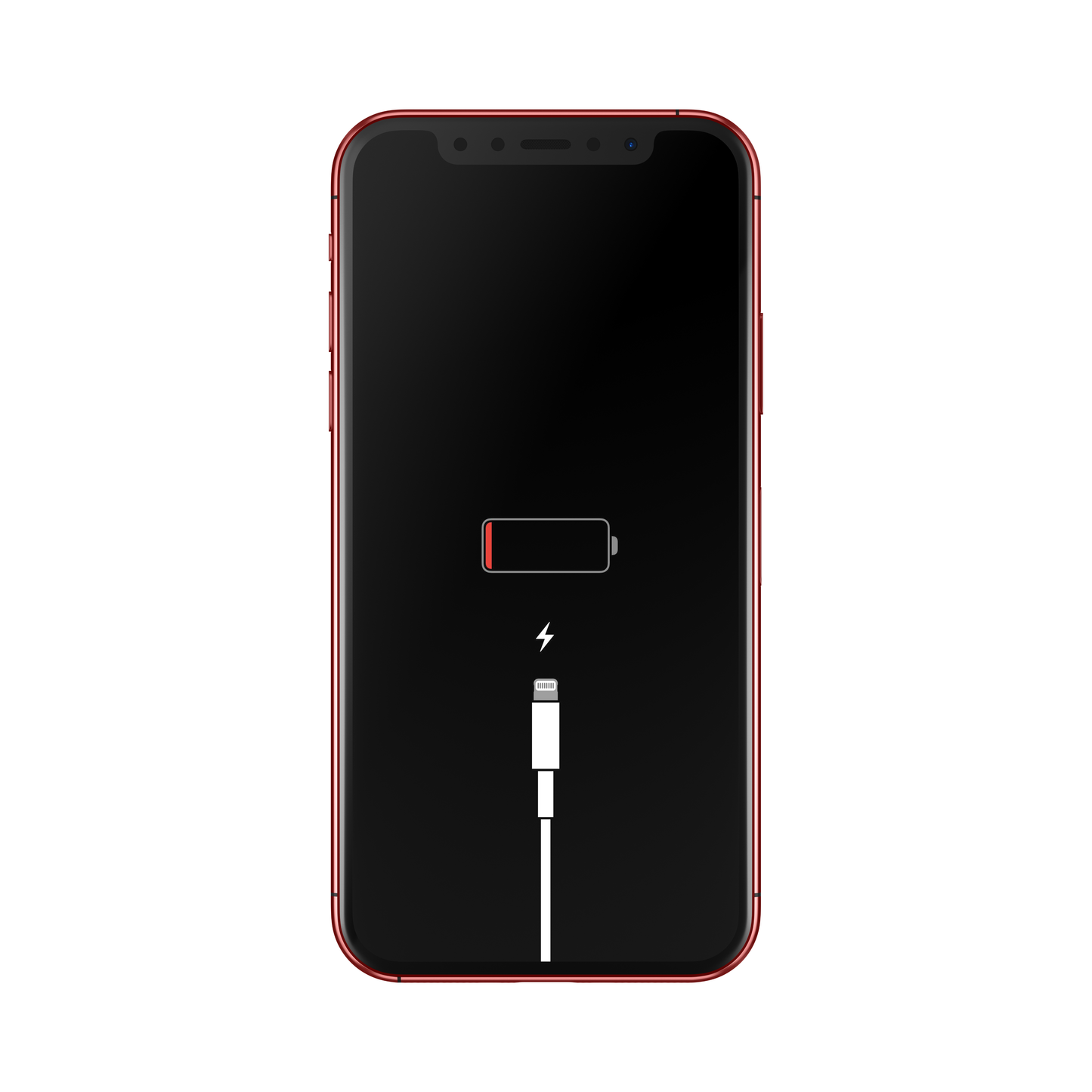 Flex de Carga para iPhone 11 - Calidad Premium