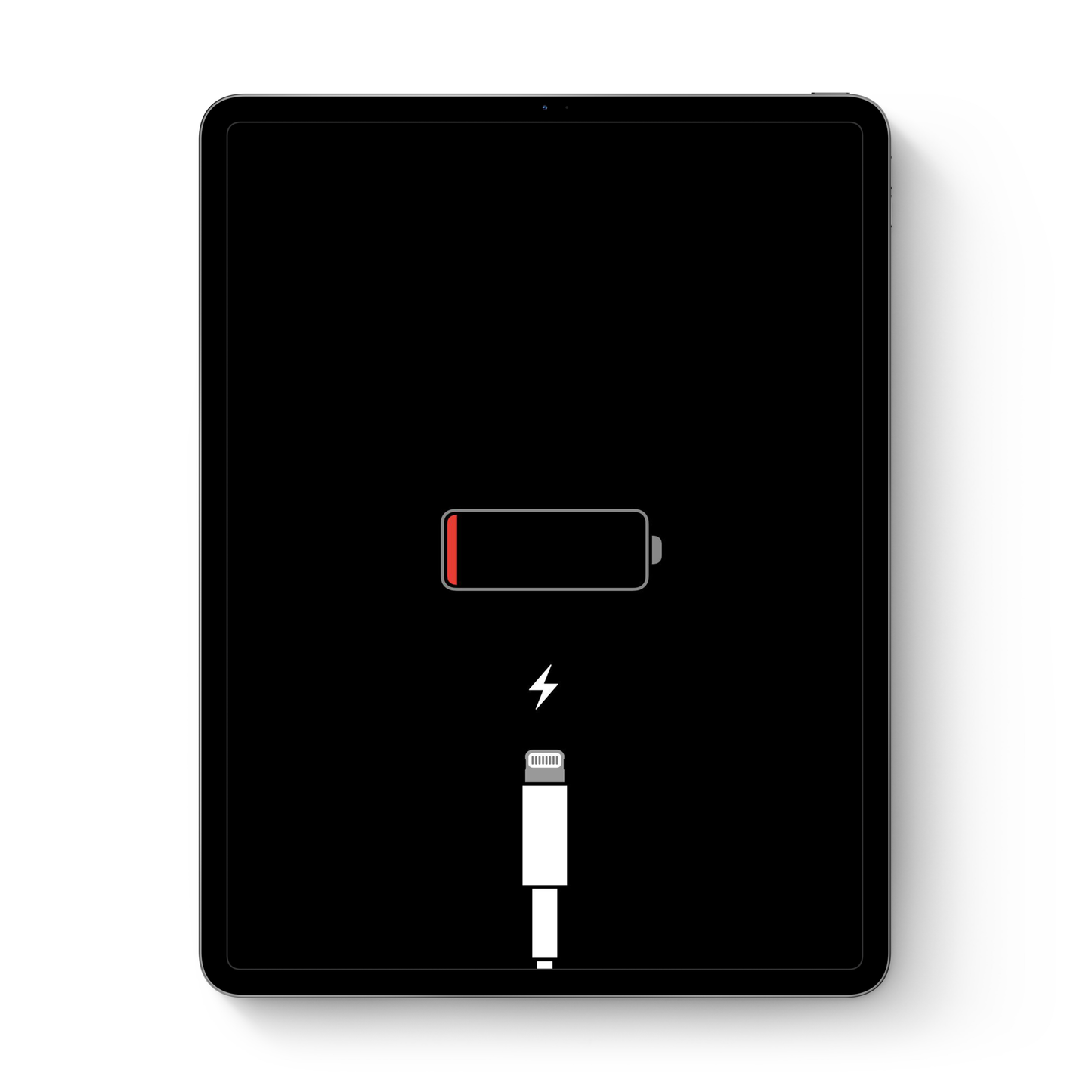 Flex de Carga para iPad Air 4